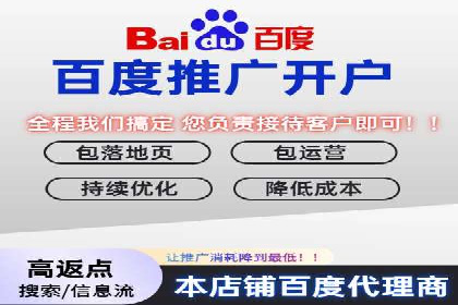 竞价推广策略：某电商平台的成功案例